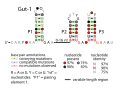 Thumbnail for Gut-1 RNA motif