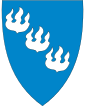 Høyanger: insigne