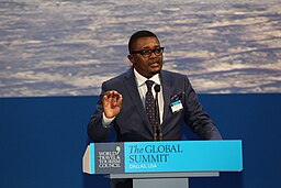 H.E. Walter Mzembi, Minister of Tourism & Hospitality Industry, Government of Zimbabwe (26294631085)