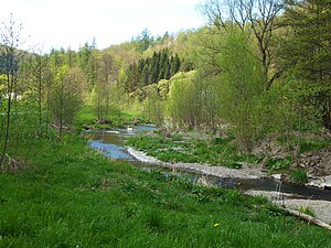 The Ruhr in the NSG Ruhr near Olsberg