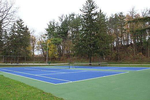 Een hardcourtbaan in Michigan (Verenigde Staten)