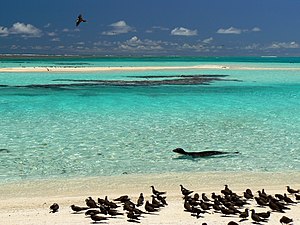 French Frigate Shoals