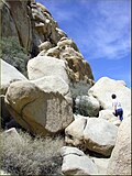 Thumbnail for File:Hidden Valley Trail, Joshua Tree NP 4-13-13a (8690220012).jpg