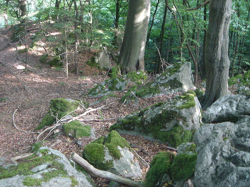 File:Hoennetal felsen.JPG