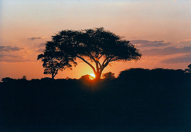 File:Hwange_sunset.jpg