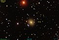 IC 313 SDSS.jpg