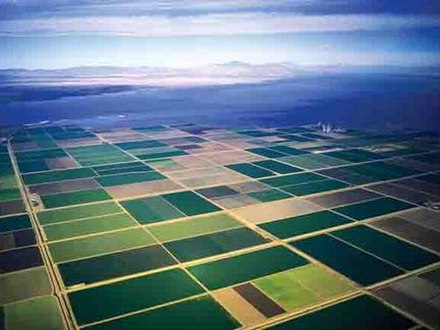 Image: Imperial valley fields