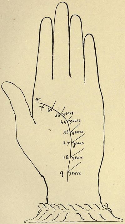 Women Breast Size Shape Tells About Her ~ INDIAN PALMISTRY, PALM READING