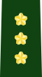 JGSDF Lieutenant General insignia (b).svg