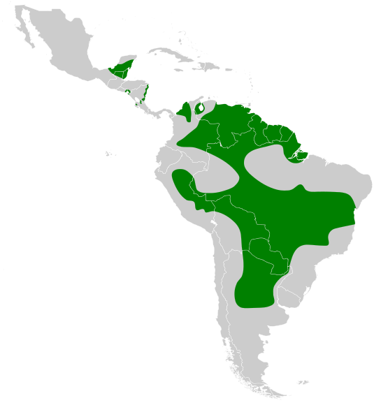 File:Jabiru mycteria map.svg