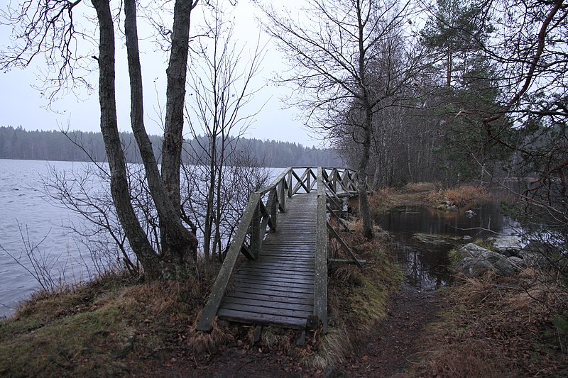 File:Kävelysilta Kyynäränharjun Kyynäränjuovassa, vasemmalla Liesjärvi ja oikealla Kyynärä, Liesjärven kansallispuisto, Tammela, 15.11.2014..JPG