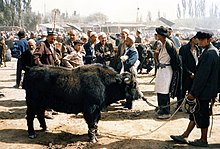 Yak au marché de Kachgar en 1987.