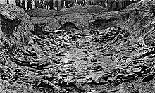 La photographie en noir et blanc date de 1943. Elle montre une fosse excavée au fond de laquelle des corps sont alignés. En haut de la photo, les bottes et manteaux des Allemands, découvreurs du charnier, apparaissent.