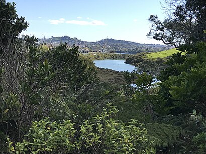 How to get to Kepa Bush Reserve with public transport- About the place