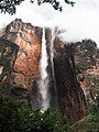 * Nomination Kerepakupai Vená (Angel Falls) as seen from the Laime viewpointI, the copyright holder of this work, hereby publish it under the following license: --Stratokumulus 22:24, 10 May 2024 (UTC) * Promotion  Support Good quality. --Lrkrol 18:15, 11 May 2024 (UTC)