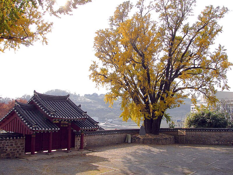 File:Korea-Goheung Hyanggyo 5295-07 outer courtyard.JPG