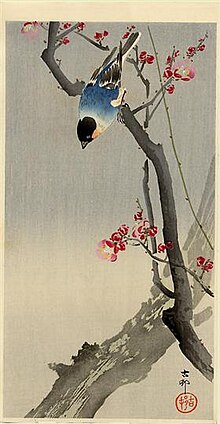 Koson - bullfinch-on-flowering-plum.jpg