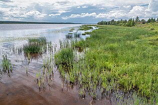 Bank of the Volga nær landsbyen Krasny Profintern