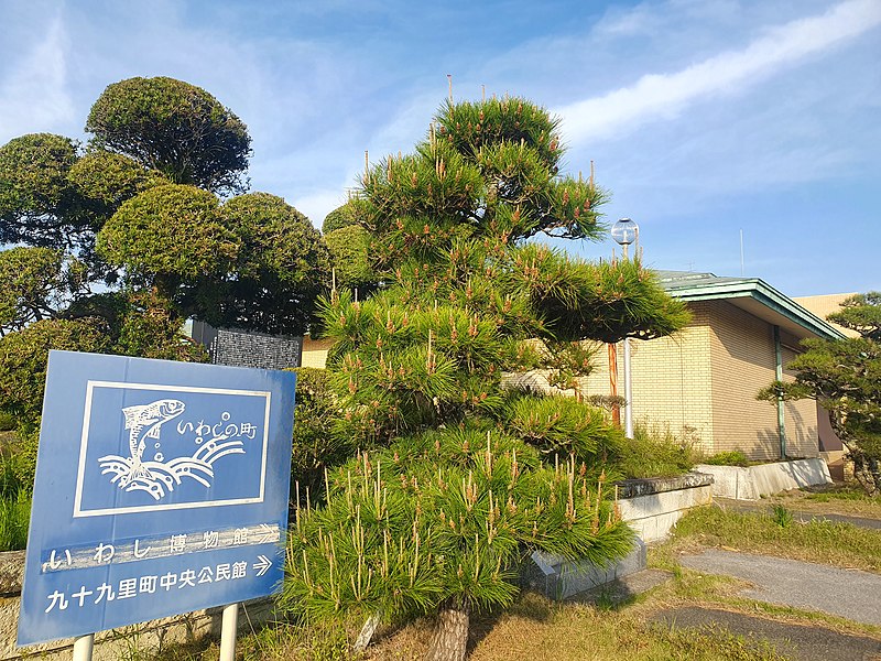 File:Kujukuri countryside walk 23.jpg