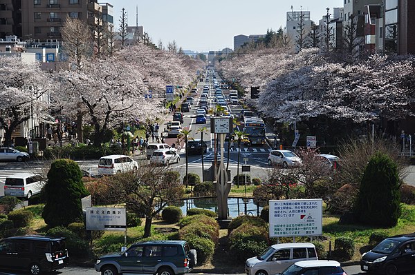 Daigakudori Street