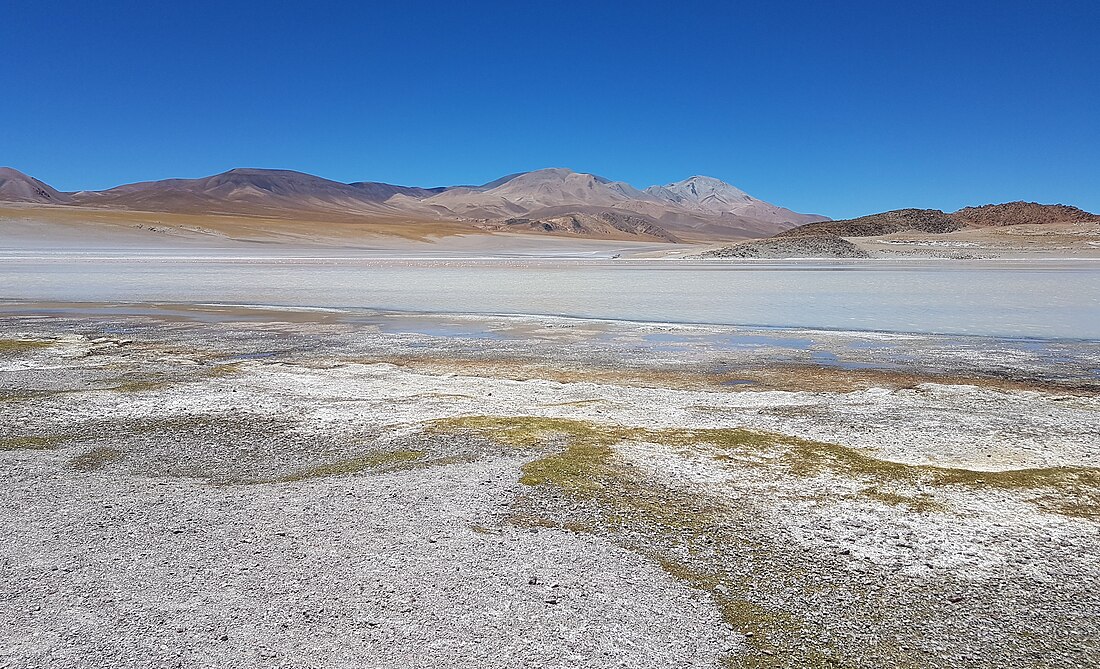 Laguna del Diamante (Provinz Catamarca)