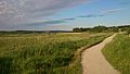 Lake, meadow and blue skies.jpg