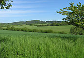 Čeština: Krajina u Řehenice English: Landscape by Řehenice, Czech Republic