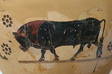 Large Corinthian jug, bull, ca 600 BC, AM Aegina, 176233x.jpg