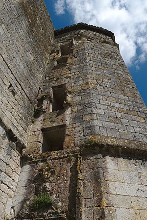 Français : Château de Larressingle