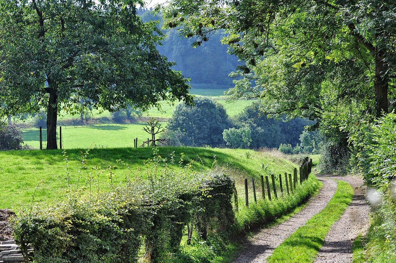 Limburgse wandelpaden.jpg