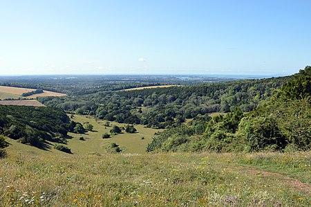 Looking down Kingley Vale