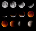 Lunareclipse - Maneformorkelse.png