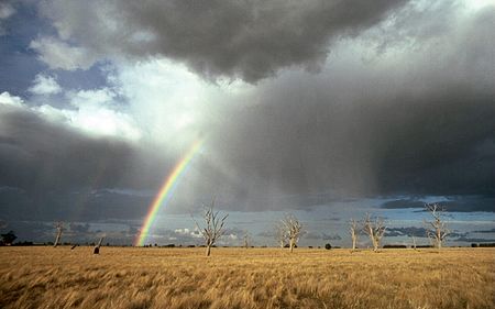 Lyndhurst Rainbow