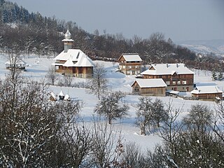 <span class="mw-page-title-main">Rona de Sus</span> Commune in Maramureș, Romania