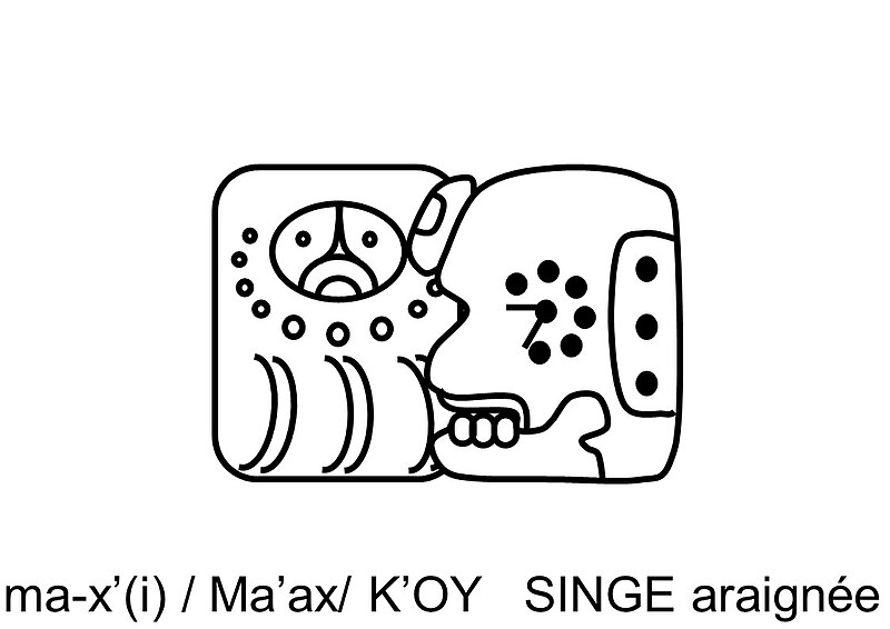 File:MA'AX Singe araignée.jpg