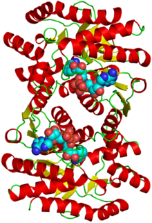 Malat dehydrogenasestruktur. Png