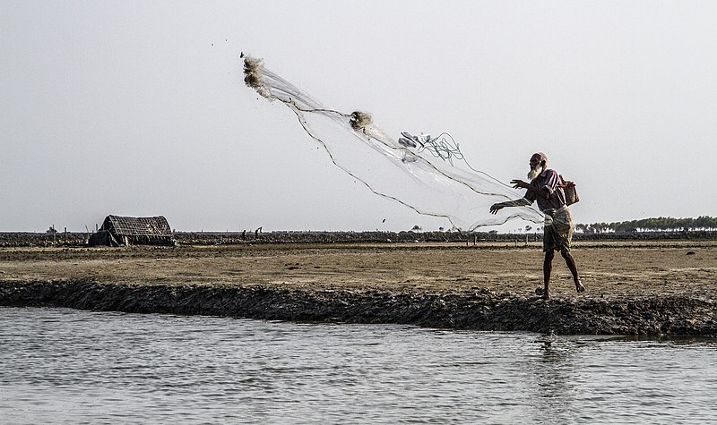 File:Man throwing a fishing net.jpg