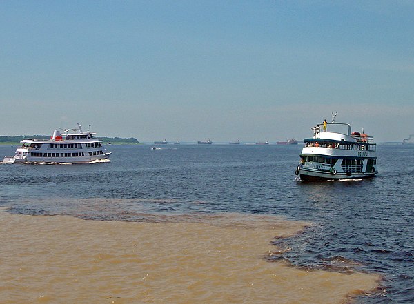 The Meeting of Waters where the pale brownish (whitewater) Amazon River mixes with the dark (blackwater) Rio Negro