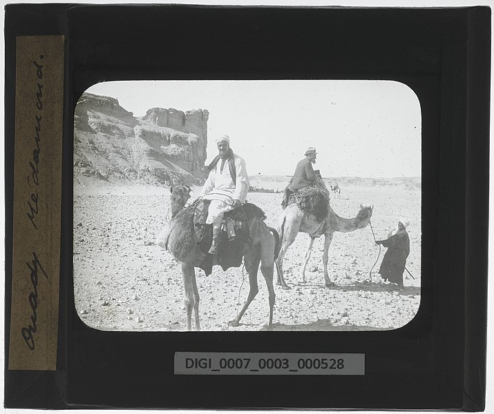 File:Medamud. Guide and archaeologist riding on camel.jpg