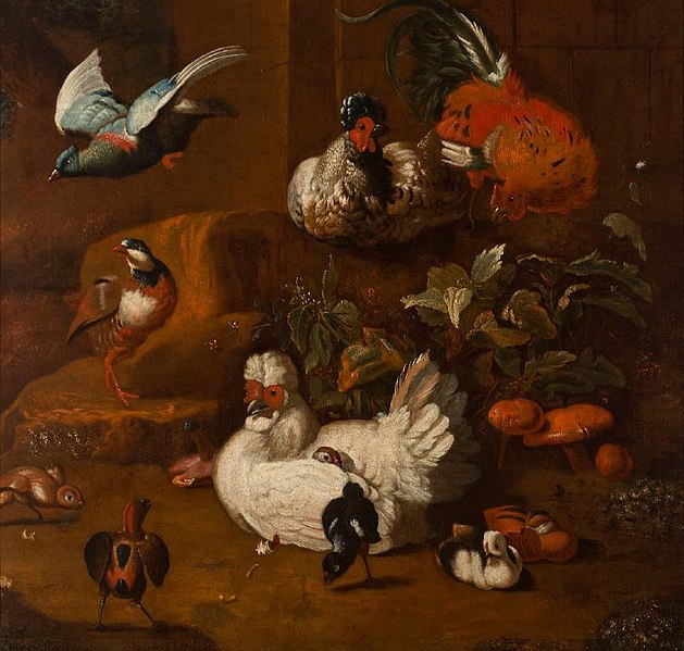 File:Melchior d' Hondecoeter - A Gathering of Birds - U-113 - Auckland Art Gallery.jpg