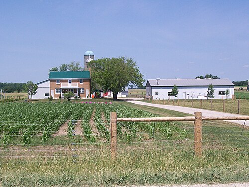 Mennonite Farm