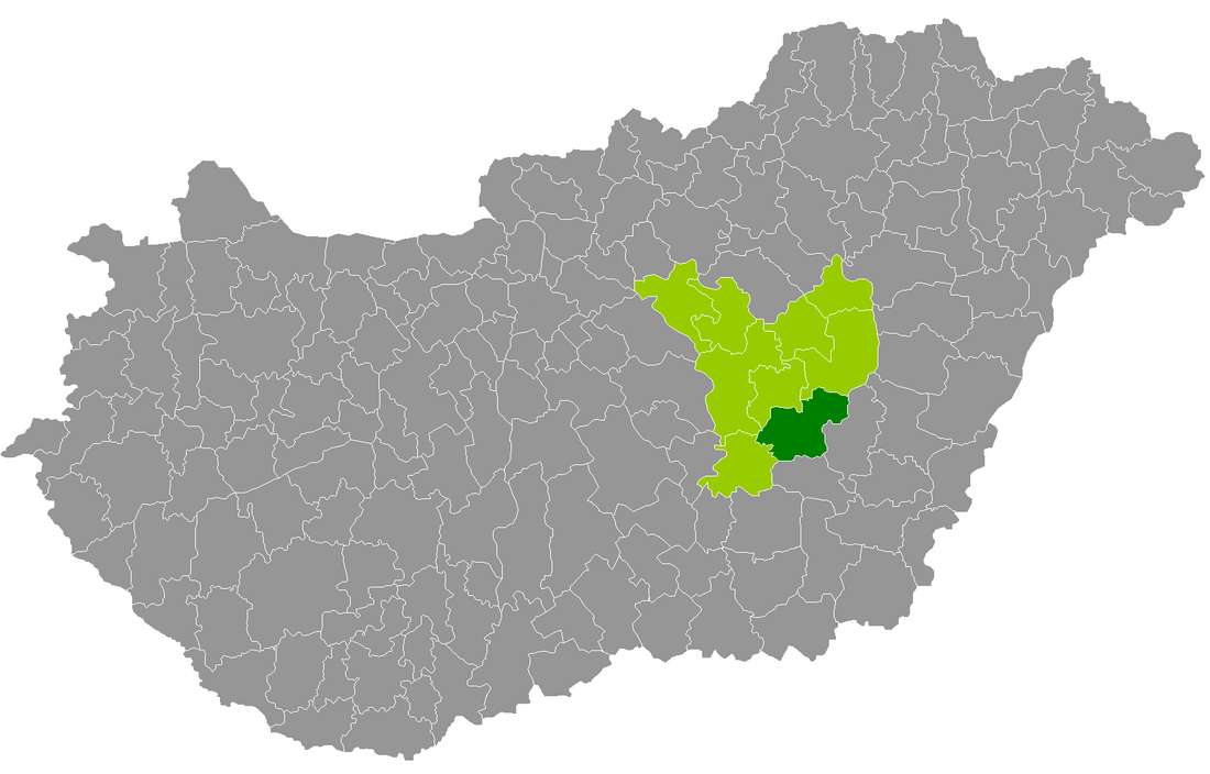 Districtul Mezőtúr