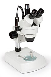 ibasenice Mikroskop Barnverktyg Lupas Con Luz De Aumento