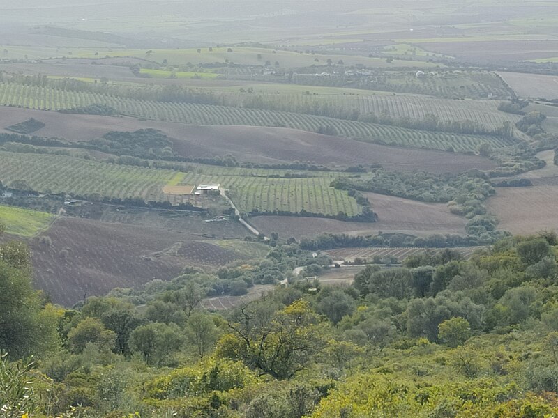 File:Mirador del Monte Pajarete - IMG 20220130 165005.jpg