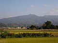 伊予河野氏の蜂起のサムネイル