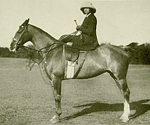 Uma jovem mulher branca em um cavalo, vista do lado do cavalo