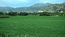 Schroffe Berge und fruchtbare Ebenen kennzeichnen das Landschaftsbild Tamil Nadus (Landschaft im Distrikt Kanyakumari)
