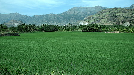 Tập_tin:N.H._47_-_Near_Chunkankadai,_Kanyakumari_District.JPG