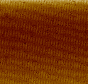 Polystyrene nanoparticle coating done with the Langmuir-Blodgett method