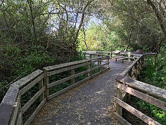 The Neary Lagoon Boardwalk Neary Lagoon Boardwalk 2016-06-08.jpg